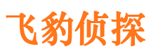 平山市侦探公司